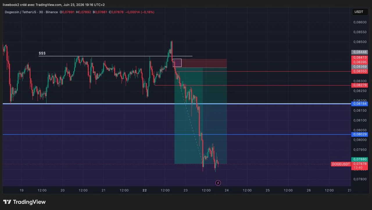 DOGE +11R chart